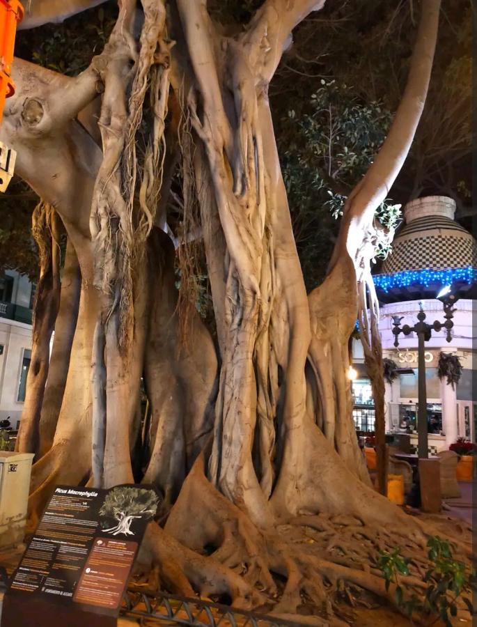 City Center Alicante - Santa Lucia - 2 エクステリア 写真